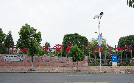 當(dāng)定制葛粉時，我們真正在選擇什么？
