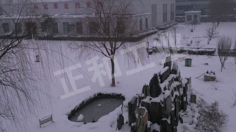 廠(chǎng)區(qū)實(shí)景